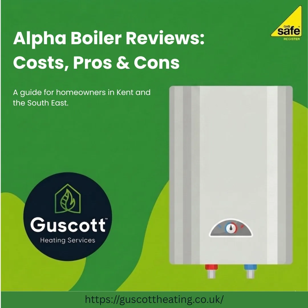 Alpha Boiler Reviews: Costs, Pros & Cons